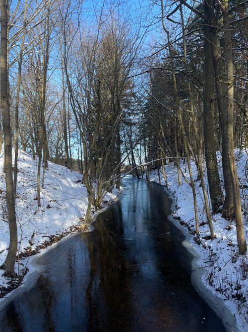 Free Snowy winter landscape with a frozen river and bare trees, reflecting a serene tranquil vibe. Stock Photo