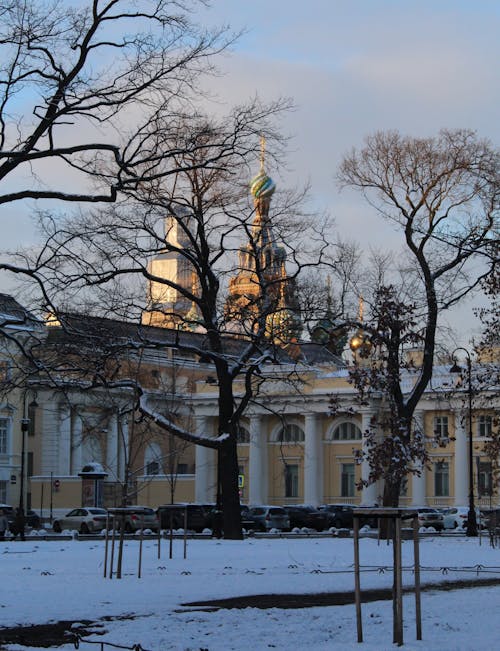 Photo of a City Park in Winter 