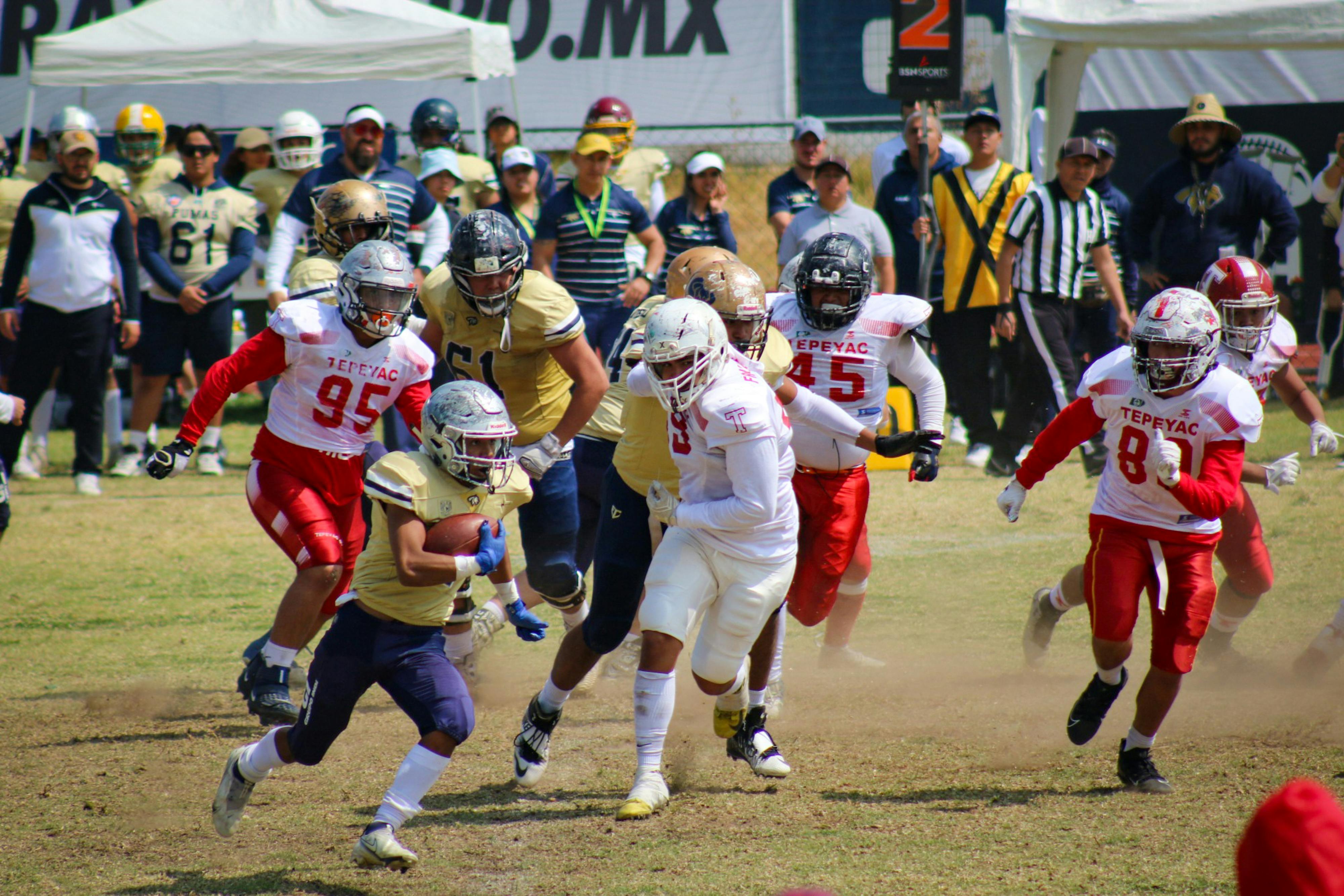 The Ideal Rookie Fantasy Football Mock Draft from 4th Overall — Photo by Anya  Juárez Tenorio on Pexels