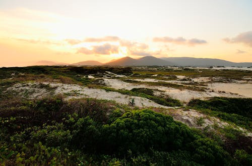 夕暮れ, 夜明け, 屋外の無料の写真素材