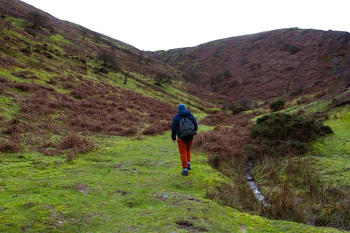 Man Walking at the Stream