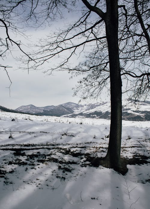 Foto d'estoc gratuïta de hivern, muntanyes, neu