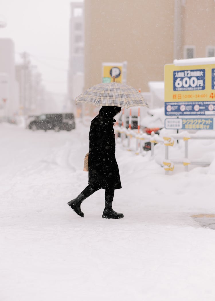 Person With An Umbrella Walking Outdoors In Snow 