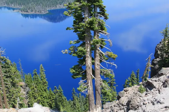 The Phantom Ship rock formation in Crater Lake seen from Sun Notch