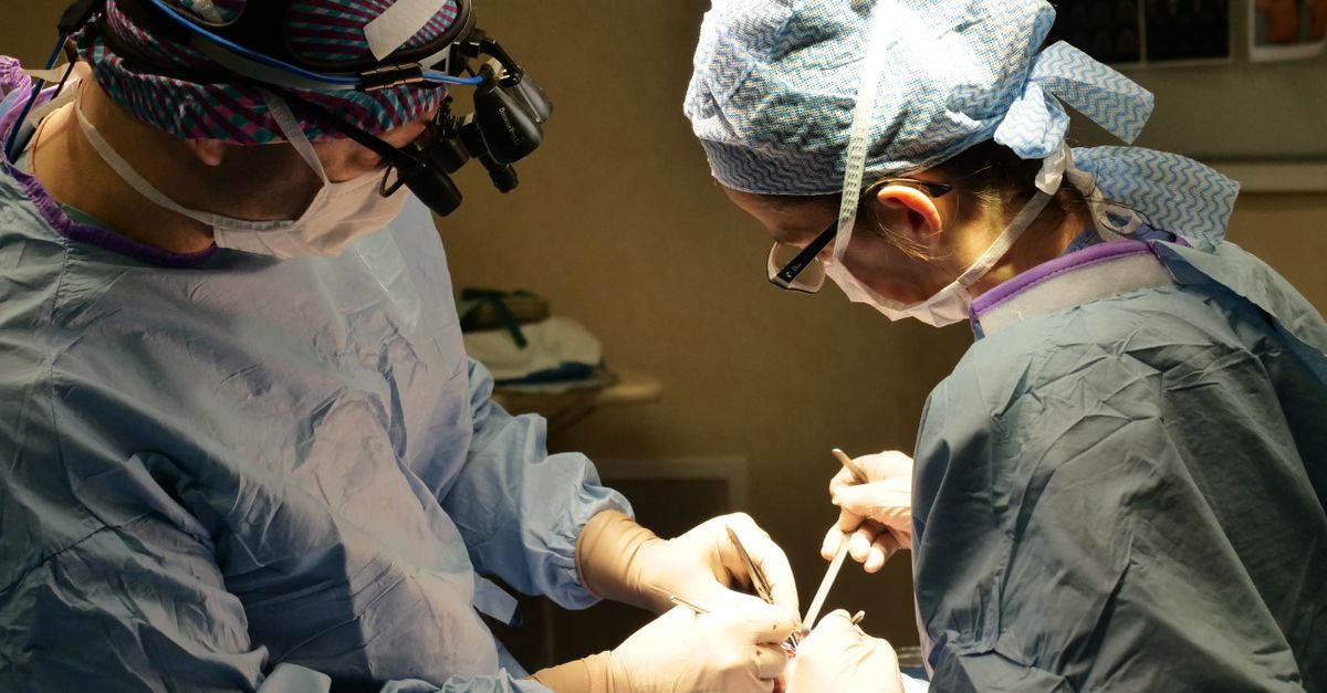 Dr. Paul Russell, Renowned Transplant Surgeon, Passes Away at 101