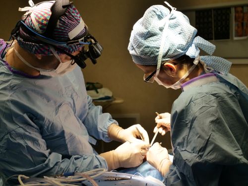 Free Experienced surgeons conduct a delicate operation in a sterile hospital environment with precision and focus. Stock Photo