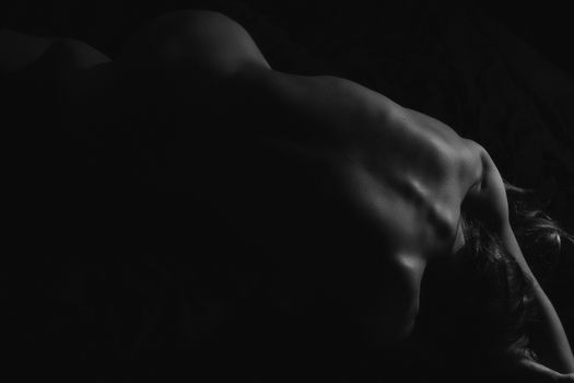 Black and white artistic nude silhouette highlighting curves and shadows.