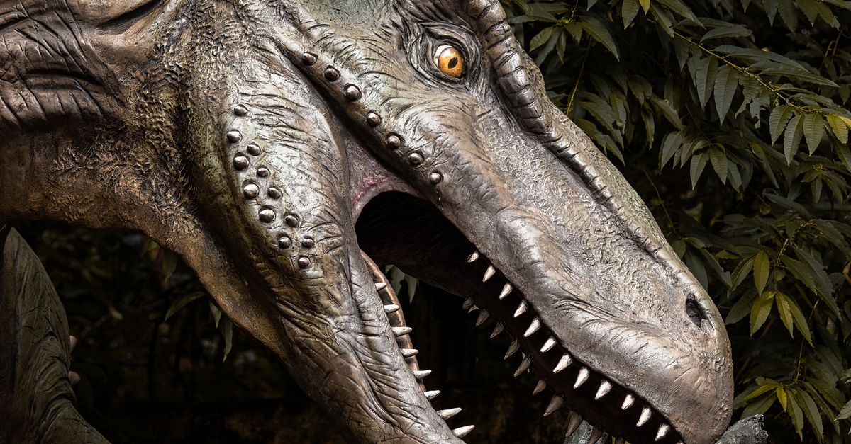 New fossil tooth findings settle debate on T. rex warm-bloodedness New fossil tooth findings settle debate on T. rex warm-bloodedness