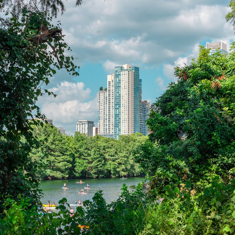 Skyline Of Austin, Texas Peeking Over The Lake