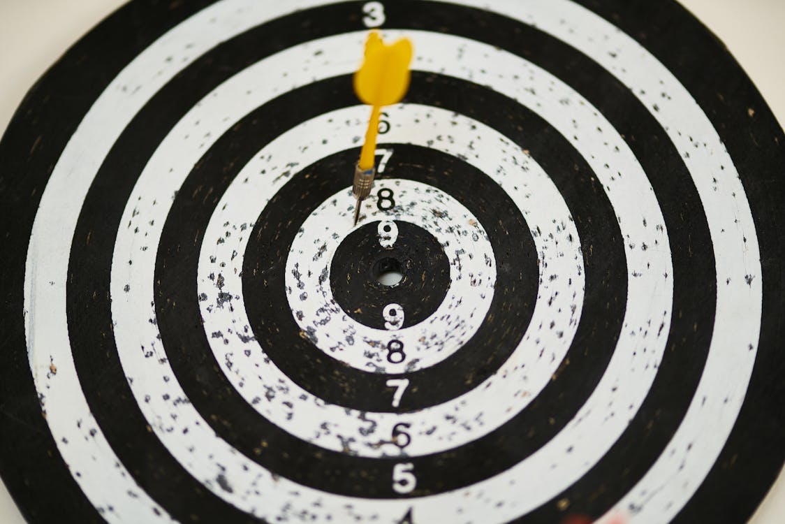 Black and White Dartboard