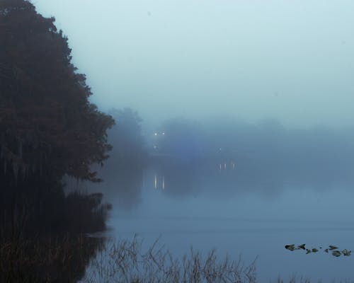 Lake in Fog in Wild Nature