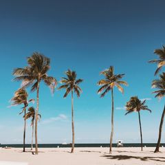 Tropical beach with palm trees — photo by paashuu on Pexels
