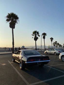A classic car parked by palm trees at the beach during a summer sunset.