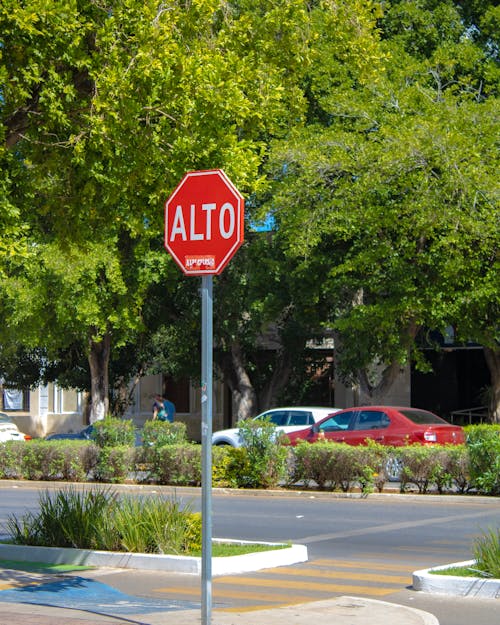 Imagine de stoc gratuită din alto, arbori, autoturisme