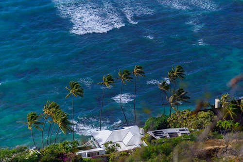 White Mansion on Ocean Shore in Hawaii