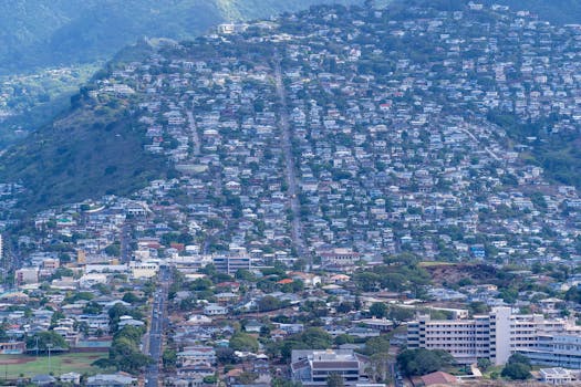 Aerial view of Honolulu's dense urban landscape with hillside residences and lush greenery.