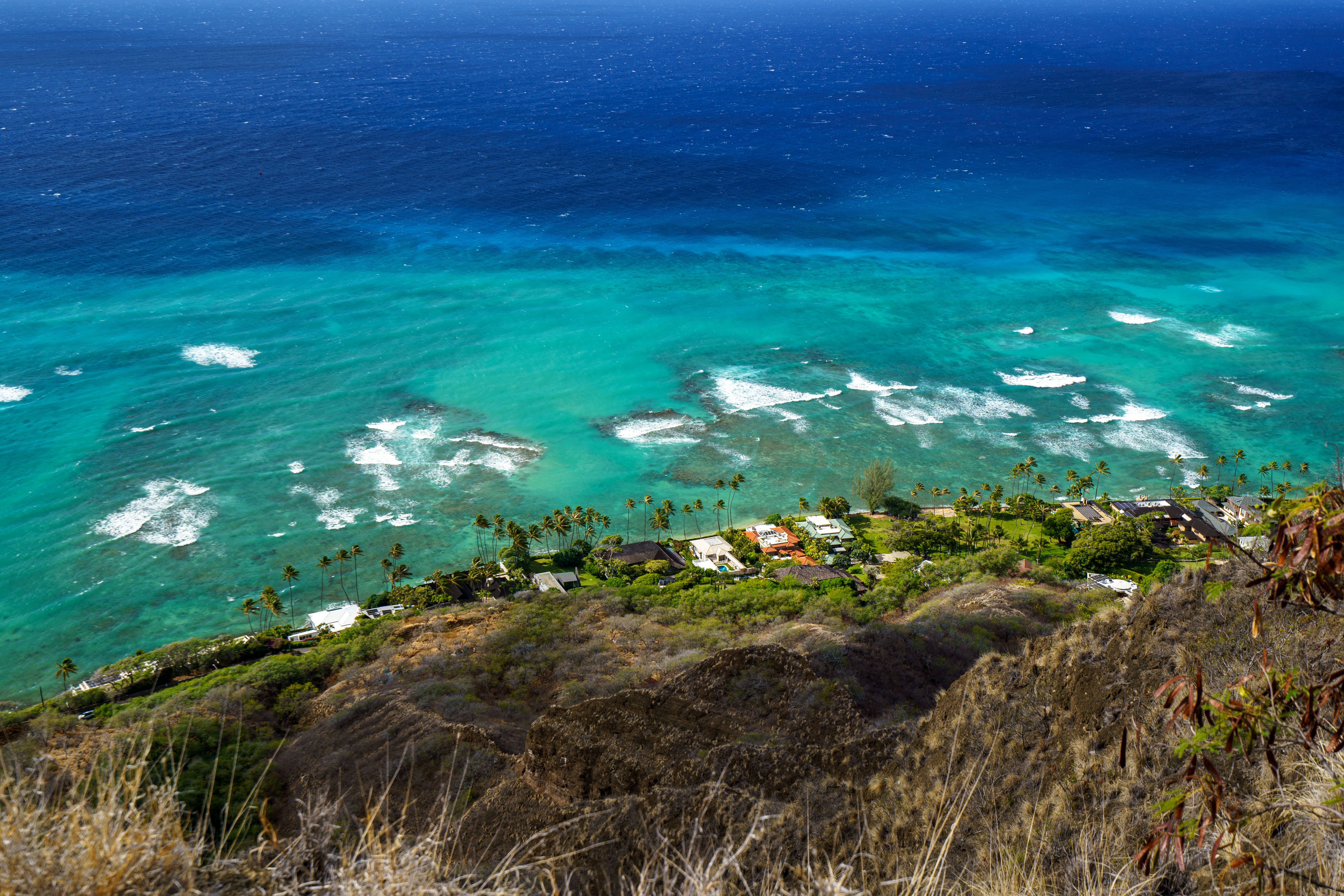 Breathtaking aerial view of a Hawaiian coastline featuring turquoise waters, palm trees, and coastal houses.