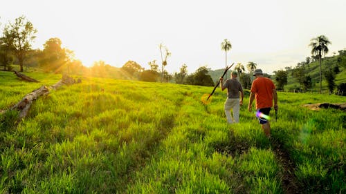 Foto stok gratis bidang, di luar rumah, lahan pertanian