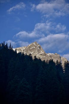 Vibrant landscape of a snowcapped mountain with blue sky and pine trees.