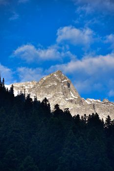 Stunning snow-capped mountain peak against a clear blue sky, surrounded by lush trees.