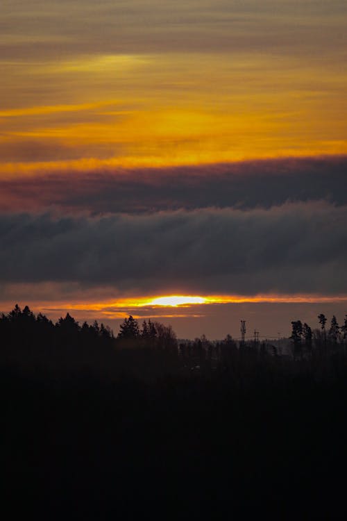 Kostenloses Stock Foto zu bäume, bedeckt, himmel