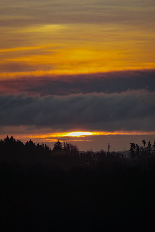 Free Stunning sunset with vibrant colors and tree silhouettes, ideal for nature-themed design. Stock Photo