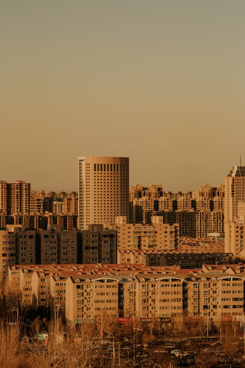 Skyscraper Towering over Buildings in City