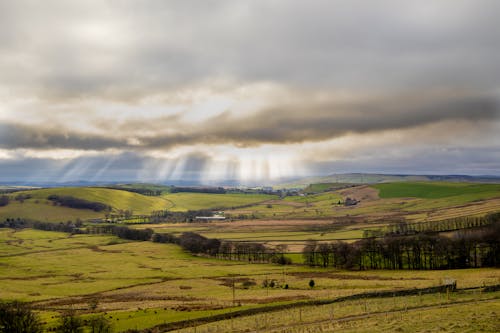arazi, Birleşik Krallık, çayır içeren Ücretsiz stok fotoğraf