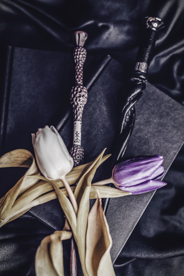 Decoration With Tulips, Books And Wooden Pointer