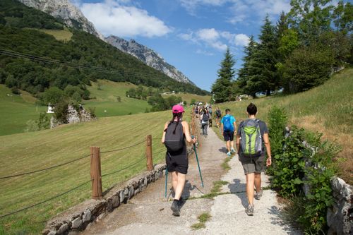 Free A group of hikers enjoying a sunny day on a scenic mountain trail. Stock Photo