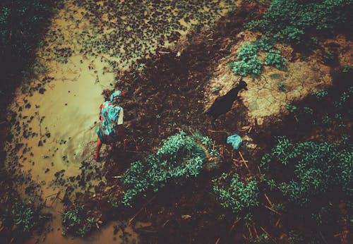 Top View of a Person Walking through Mud with an Animal 