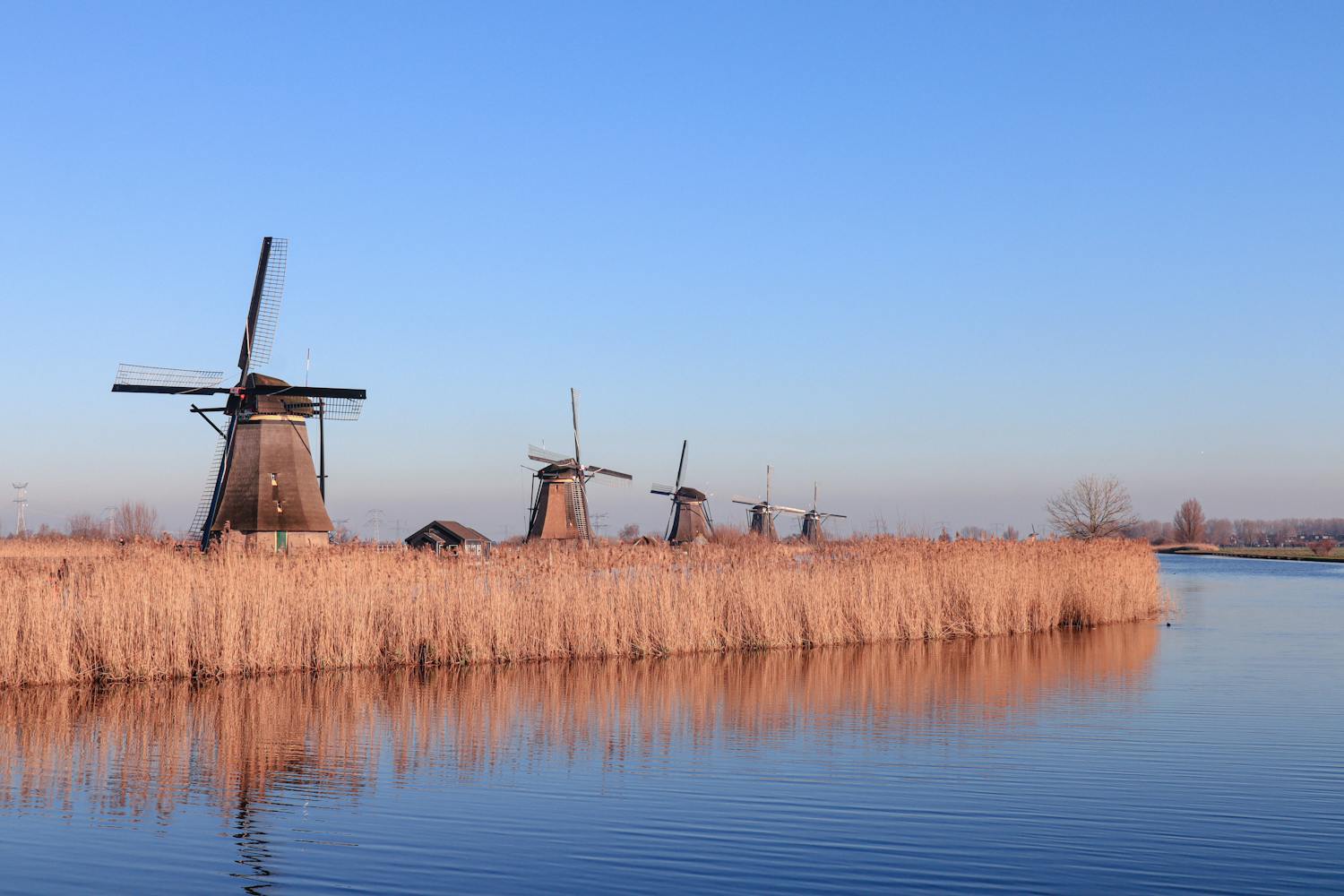 Capture of iconic windmills reflecting in a calm canal in Kinderdijk
