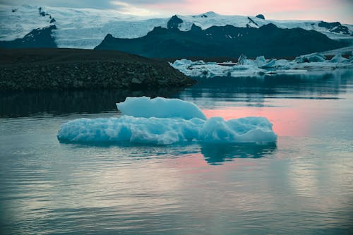 Foto stok gratis arktik, dingin, embun beku