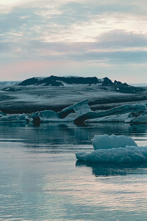 Základová fotografie zdarma na téma Arktida, led, ledovce
