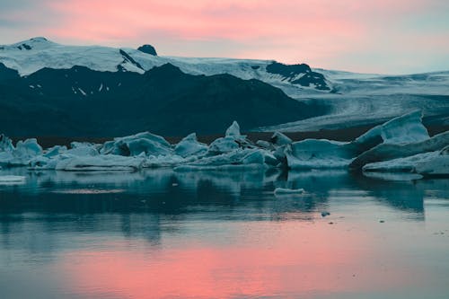 Foto profissional grátis de ártico, com frio, geada