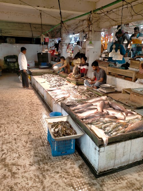 Foto profissional grátis de mercado de peixes