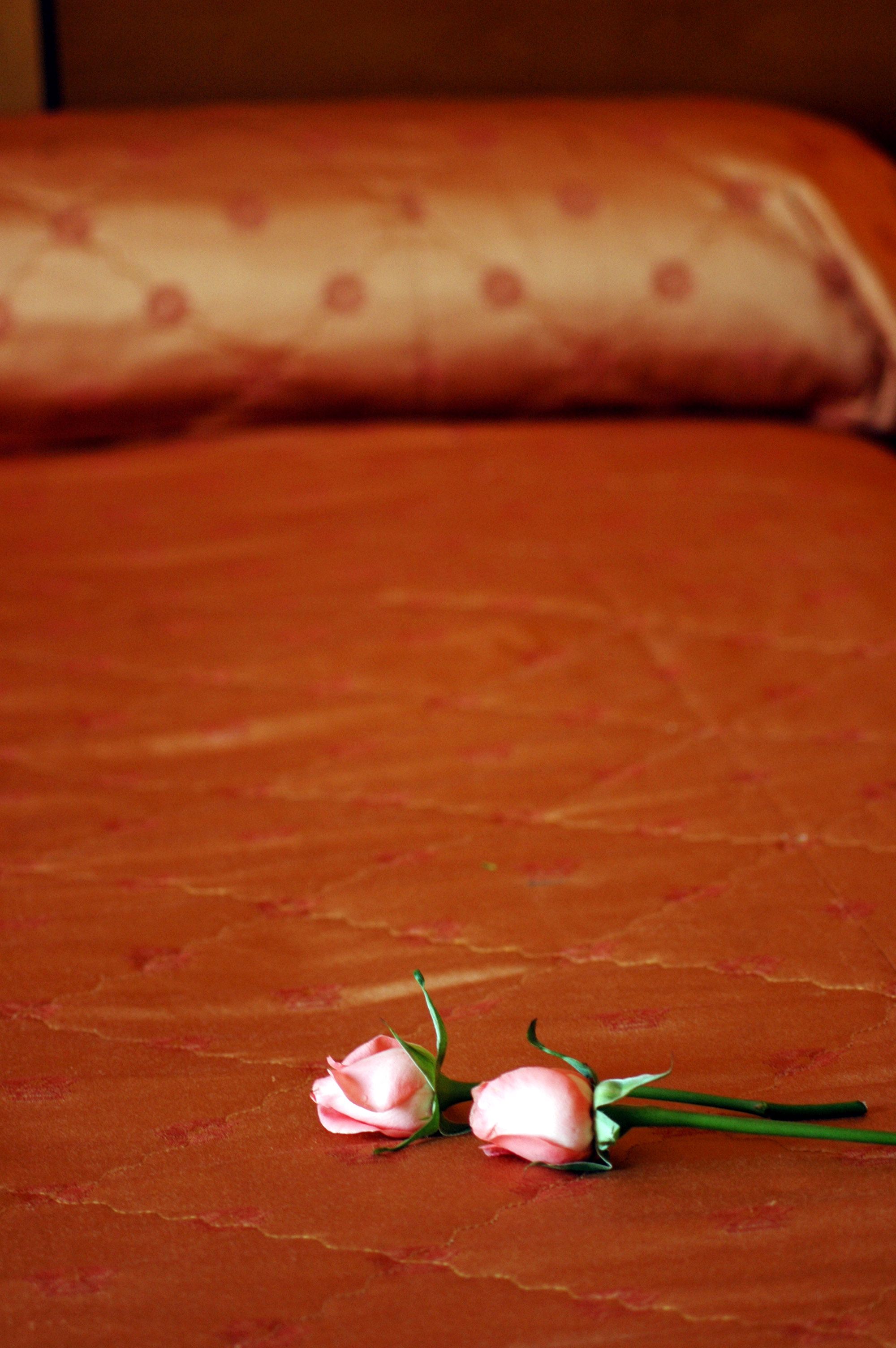 Be Free Top Bed Of Roses