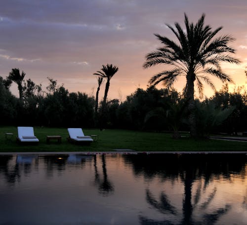 Sun Loungers by the Water and Palm Trees at Sunset 
