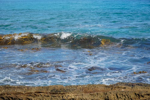 Waves Splashing on Rock Seashore