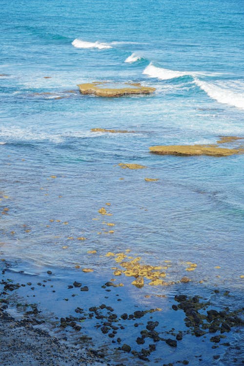 Waves on the Sea near the Shore 