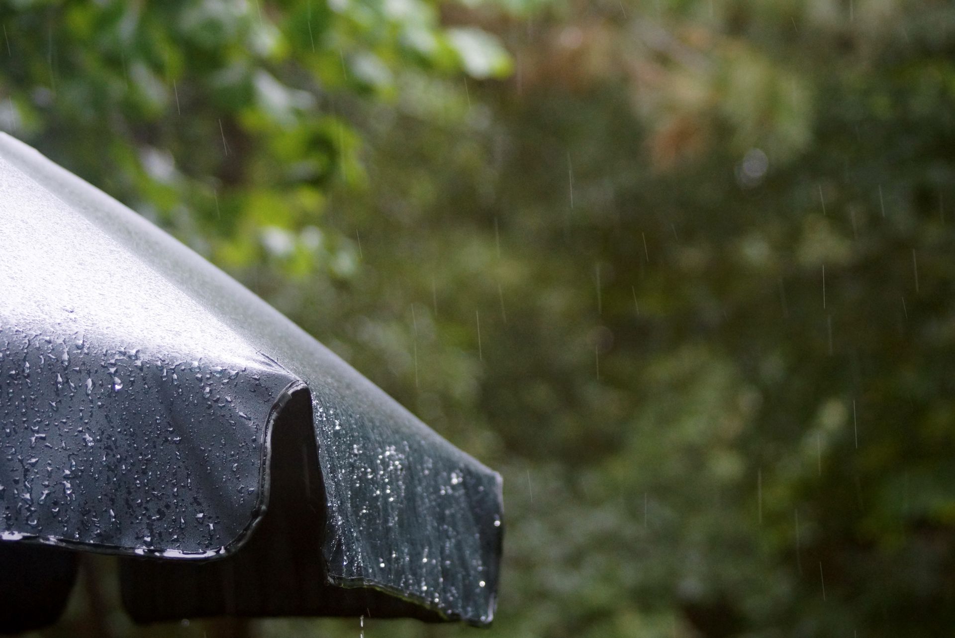 Detailed view of an umbrella with rain droplets during a shower in a leafy area.