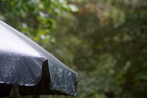 Why Some Cities Stay Soaked All Summer