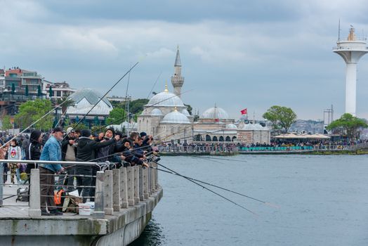 Free stock photo of architecture, boat, bridge