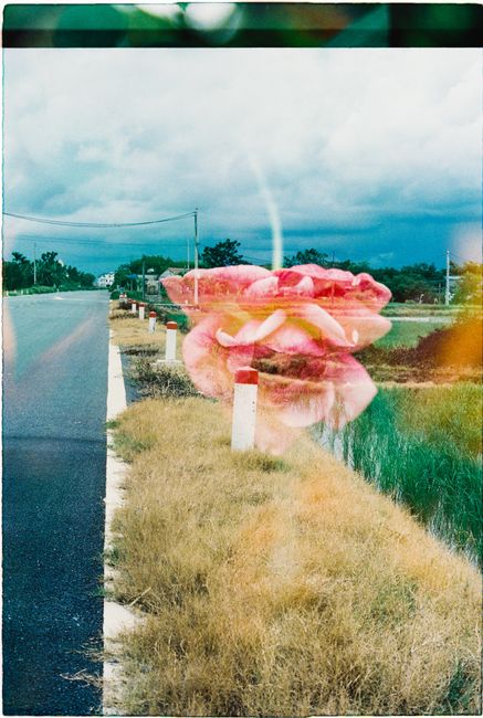 Artistic double exposure depicting a roadside landscape blended with a pink rose flower.