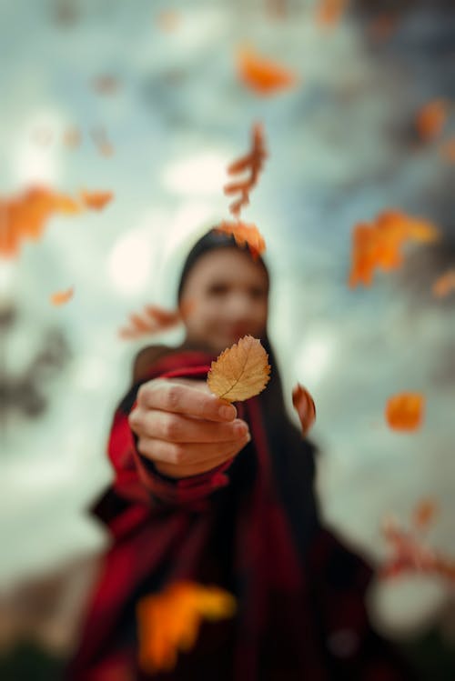 Close-up of the Womans Hand Holding an Autumn Leaf 