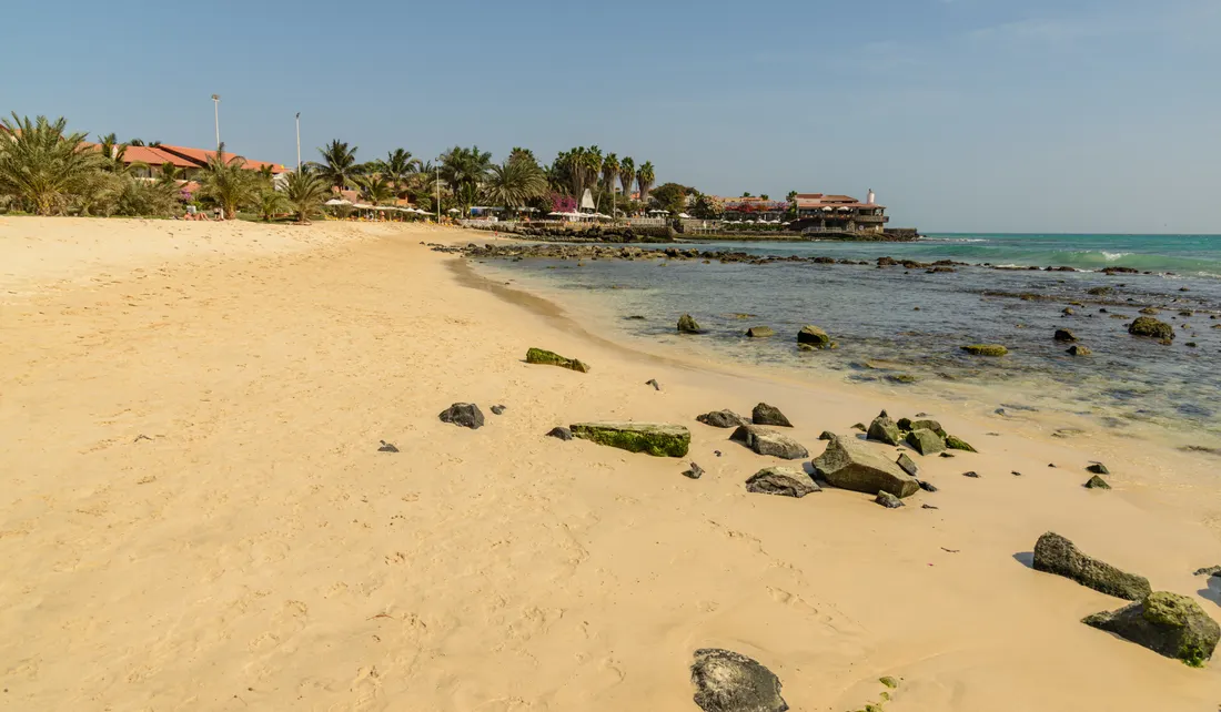 Saly
