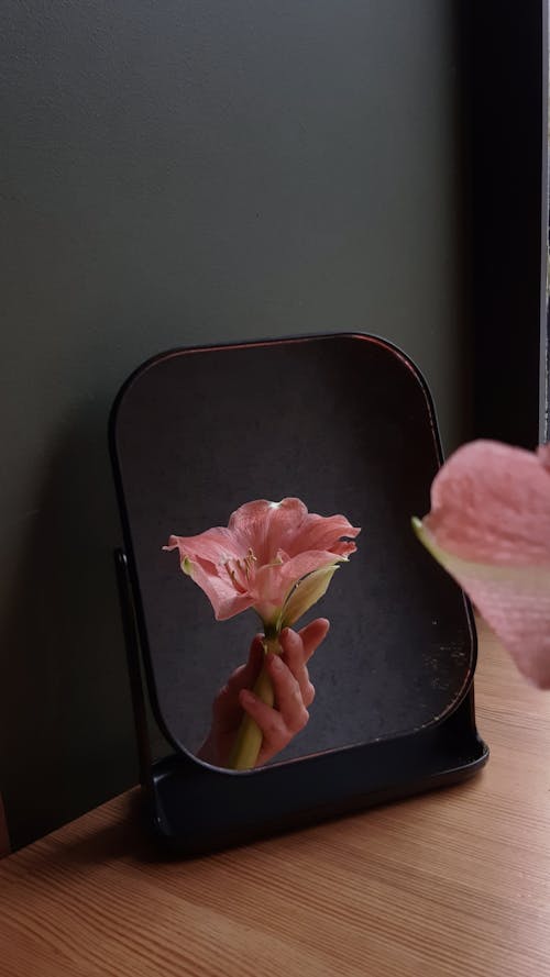 Mirror Reflection of Hand with Beautiful Pink Flower