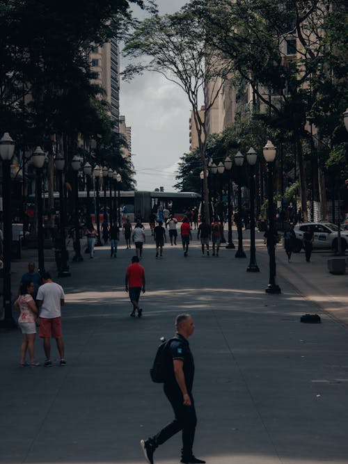 Foto profissional grátis de árvores, cidade, cidades