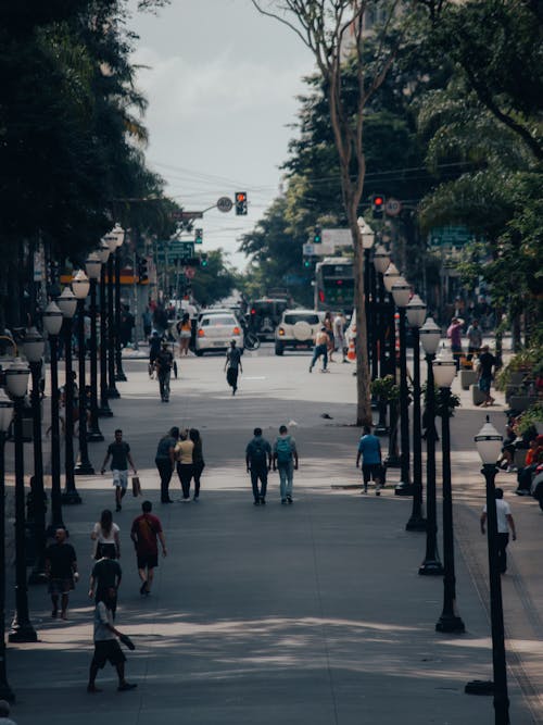 Immagine gratuita di camminando, città, percorsi pedonali