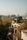 udaipur